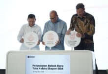 DSI Danantara