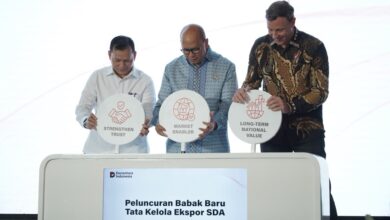DSI Danantara