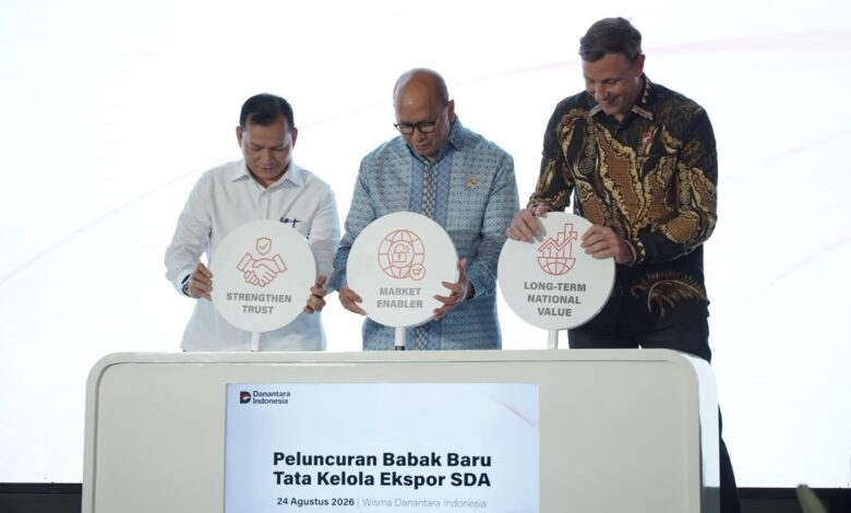 DSI Danantara